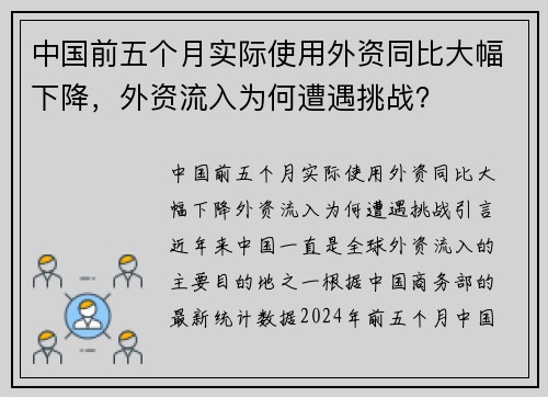 中国前五个月实际使用外资同比大幅下降，外资流入为何遭遇挑战？