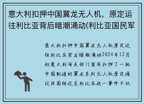 意大利扣押中国翼龙无人机，原定运往利比亚背后暗潮涌动(利比亚国民军翼龙无人机)