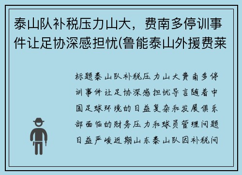 泰山队补税压力山大，费南多停训事件让足协深感担忧(鲁能泰山外援费莱尼)
